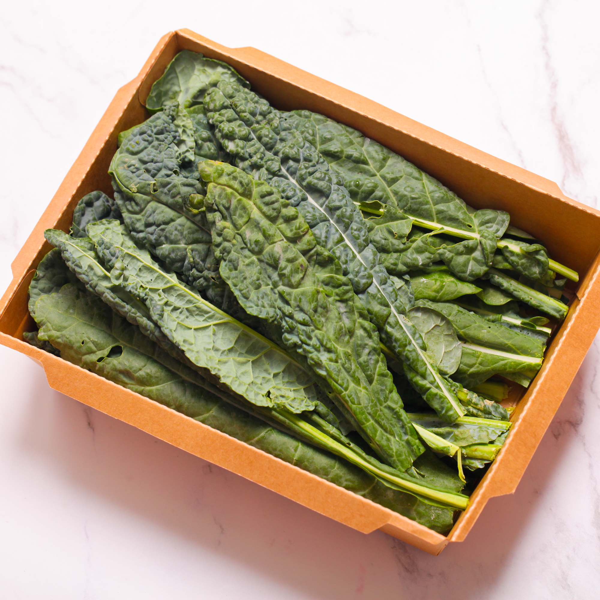 Organic Dino Scotch Kale